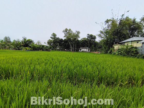 ৬ শতাংশ জমি বিক্রিয় হবে।